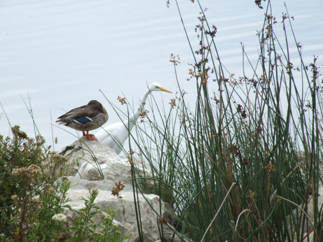 DSCF0757.JPG