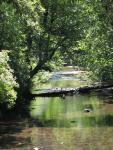 Silver Falls S.P., Silverton, Oregon July 2010